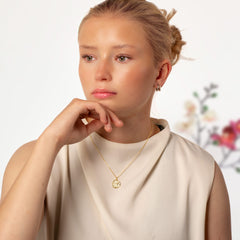 Aamun ensi säteet hopeakaulakoru mallin päällä