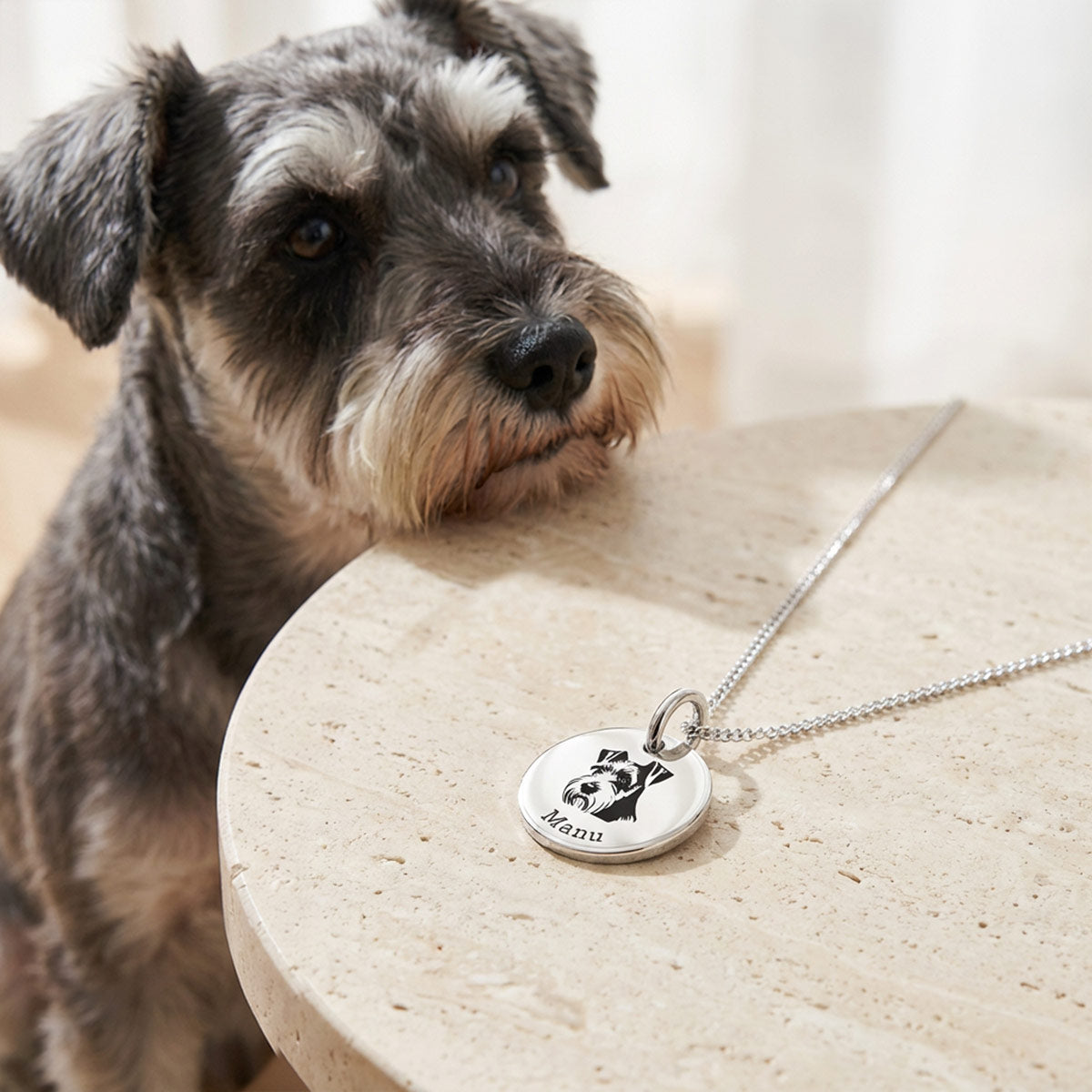 Hopeinen kääpiösnautseri riipus pöydällä