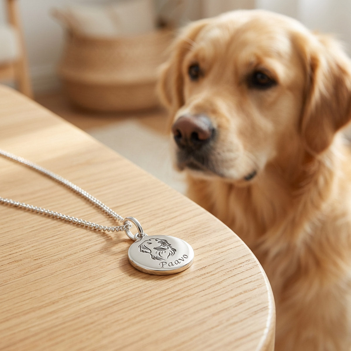 Hopeinen kultainen noutaja kaulakoru pöydällä