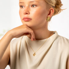 Tähtien alla hopeakaulakoru