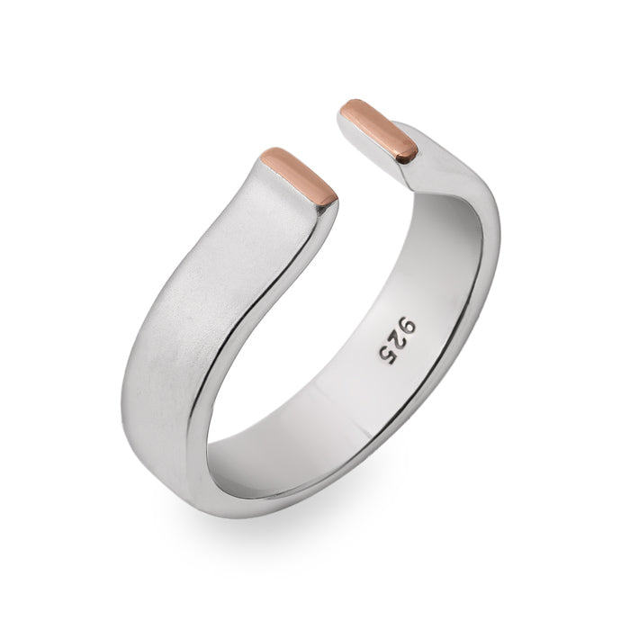 Hopeasormus_avomalli