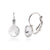 Swarovski korvakorut roikkuva 8 mm kirkas